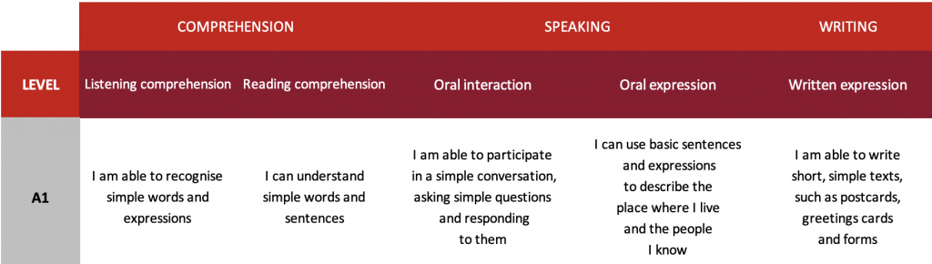 Cours d'espagnol à Strasbourg_Nouveau venu_Niveau débutant_Niveau standard A1